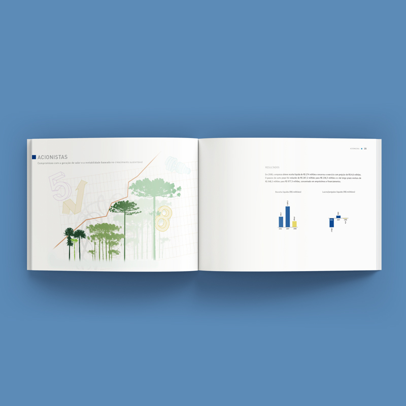 Relatório Anual – Endesa Brasil