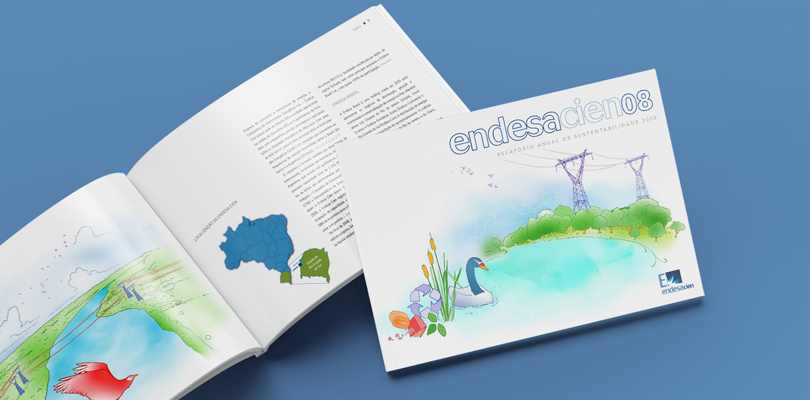 Relatório Anual – Endesa Brasil