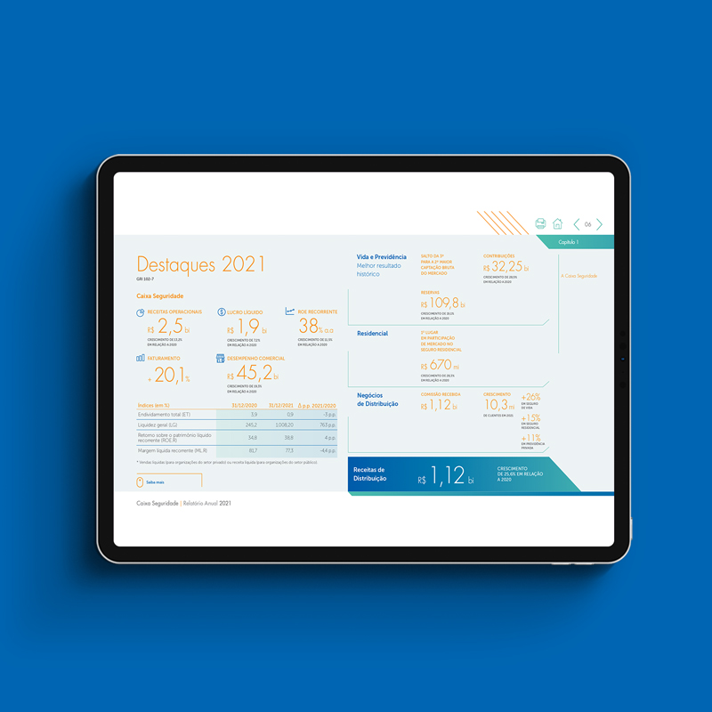 Relatório Anual – Caixa Seguridade