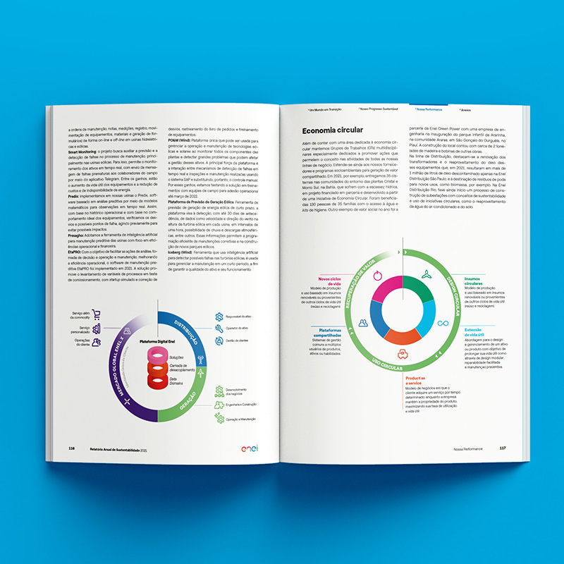 Relatório de Sustentabilidade – Enel