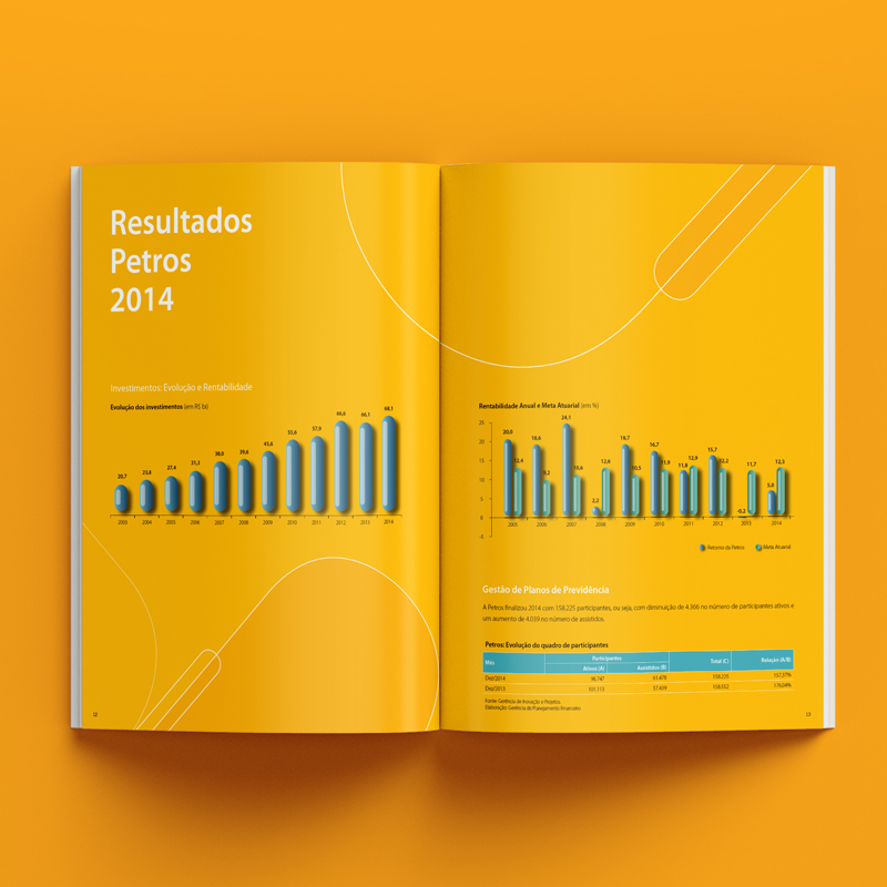 Relatório Anual – Petros