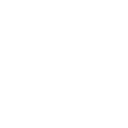 caixa seguridade